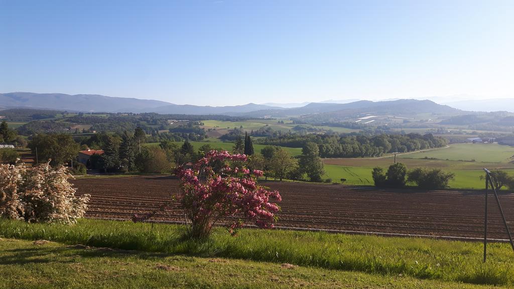 La Magnanerie Villa Niozelles Buitenkant foto